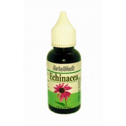 Echinacea purpurová (Echinacea purpurea L.) - Tinktúra, kvapky 30ml