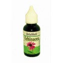 Echinacea purpurová (Echinacea purpurea L.) - Tinktúra, kvapky 30ml