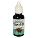 Cryptolepis sanguinolenta - tinktúra, kvapky 30ml